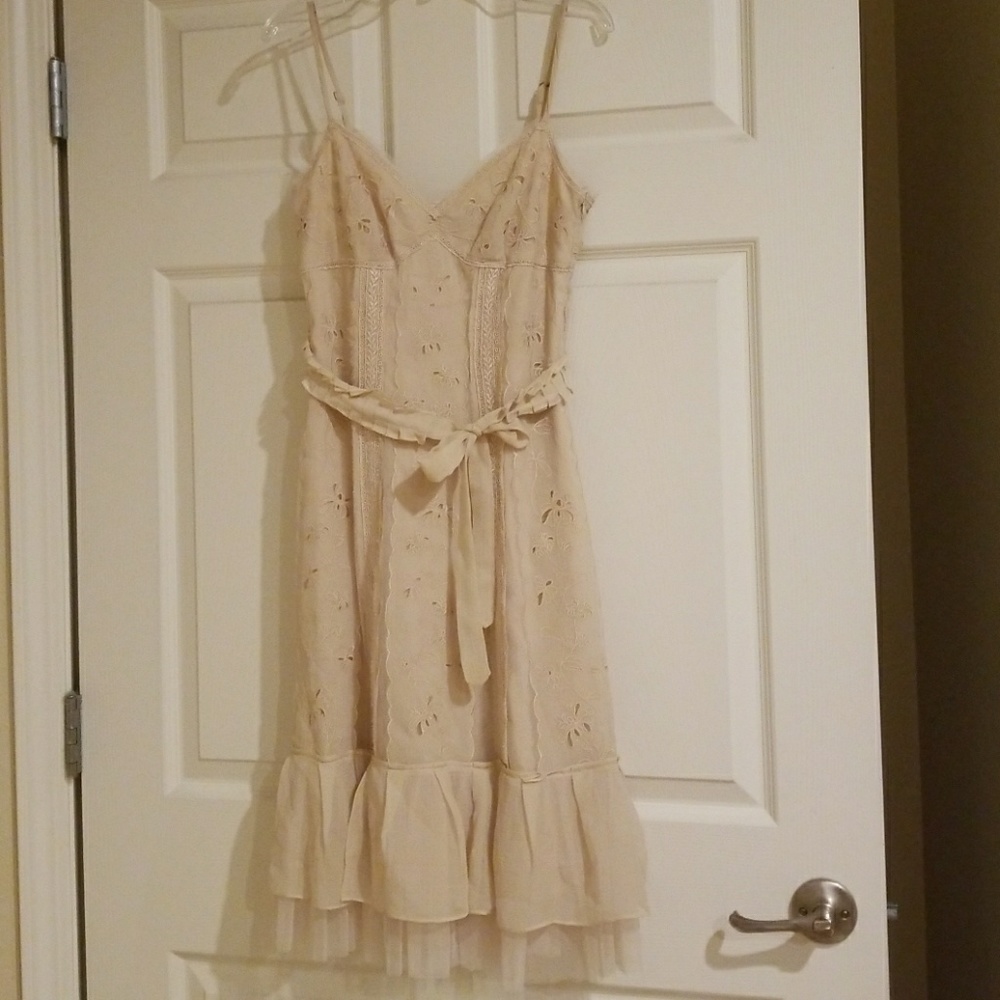 New, Never Worn, BCBG Maxazria Lace Dress